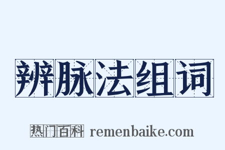 辨脉法组词是什么意思的图片